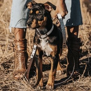 Dog Leash & Collar White Croco size Small / Medium